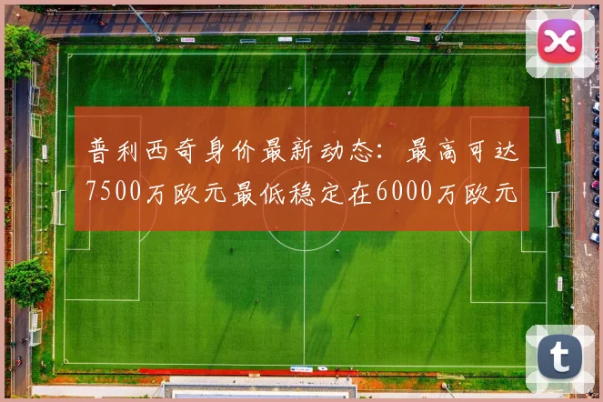 普利西奇身价最新动态：最高可达7500万欧元最低稳定在6000万欧元