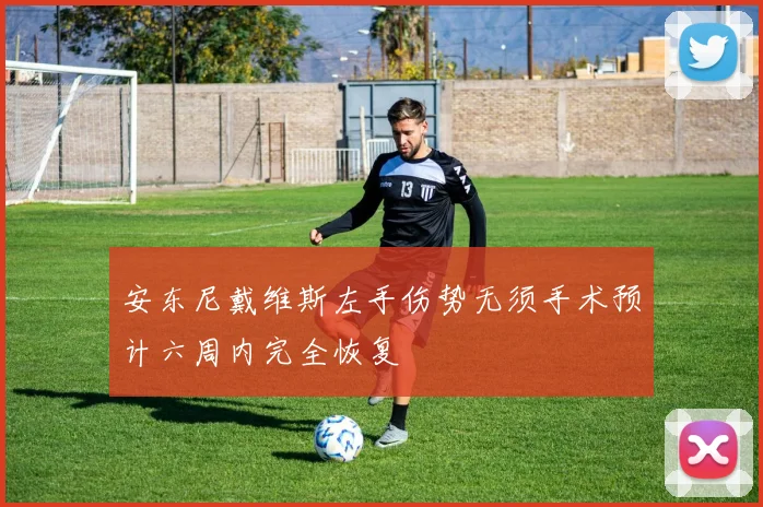 安东尼戴维斯左手伤势无须手术预计六周内完全恢复
