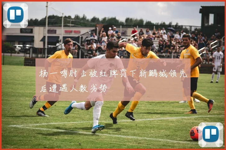 杨一鸣肘击被红牌罚下新鹏城领先后遭遇人数劣势