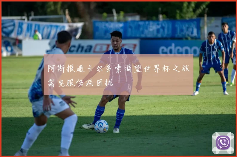 阿斯报道卡尔多索渴望世界杯之旅需克服伤病困扰